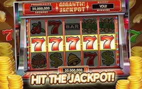 334bet